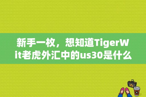 新手一枚，想知道TigerWit老虎外汇中的us30是什么意思？（老虎外汇 融资）