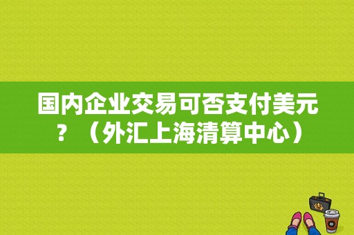 国内企业交易可否支付美元？（外汇上海清算中心）