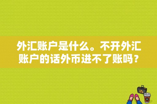 外汇账户是什么。不开外汇账户的话外币进不了账吗？（外汇管制的对象是什么）