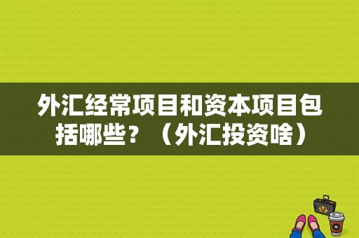 外汇经常项目和资本项目包括哪些？（外汇投资啥）