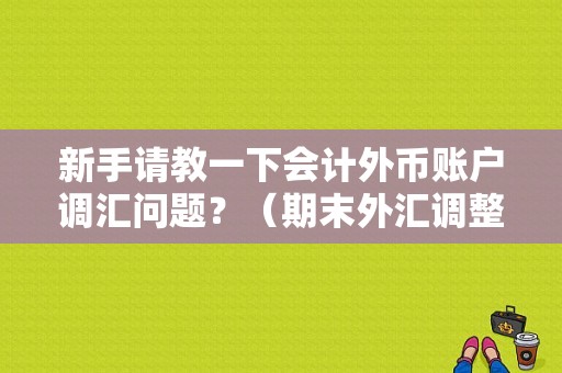 新手请教一下会计外币账户调汇问题？（期末外汇调整分录）