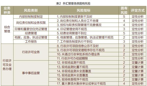 其他审计业务包括？2017年外汇年审