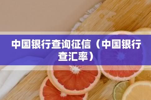 石家庄个人征信查询地址在哪里呢？石家庄外汇网