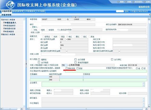 外汇进账银行申报流程？外汇贸易网上开通