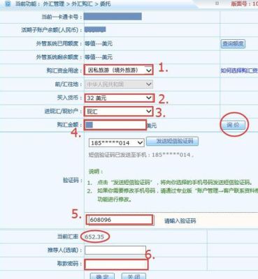 个人外汇申报交易编码怎么填？外汇交易编码12