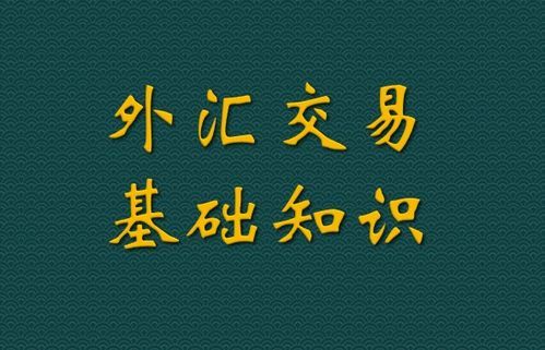 怎样才能外汇赚大钱呢？外汇稳挣得交易流程