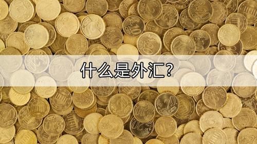 什么是外汇？做外汇需要了解些什么？外汇金买是什么意思