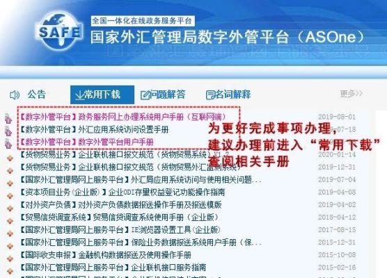 asone数字外汇管理平台是什么用处？外汇局企业端