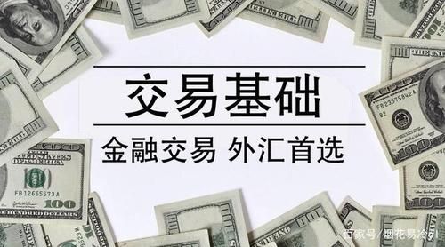 外汇资本金使用规定？进口原料 外汇