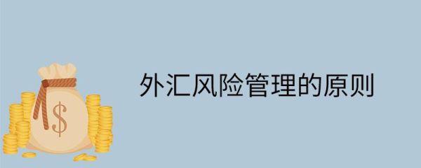 外汇风险按其作用对象可以分为哪几个？（外汇风险资产）