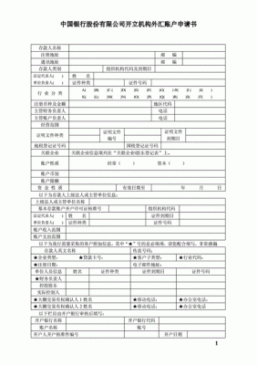 存款账户报告怎么备案？（外汇账户 备案表）