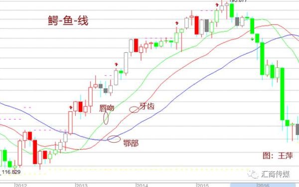 鳄鱼鱼线和ao怎么一起用？（外汇盘面分析鳄鱼组线）