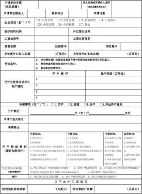 如何在建设银行开立个人外汇账户？（外汇申请表怎么填写）