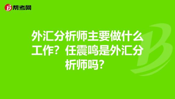 中国几个很牛的外汇分析师都有谁？（怎么写外汇市场分析）