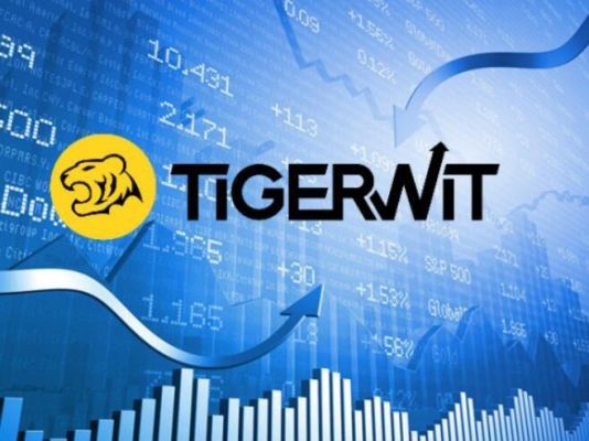 tigerwit是否正规？（老虎外汇喊单）