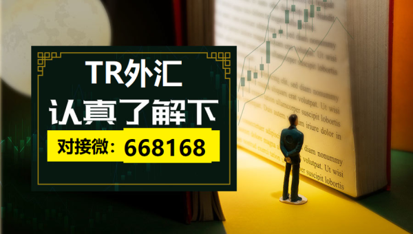 TR外汇是什么意思？（金融外汇货币工作）