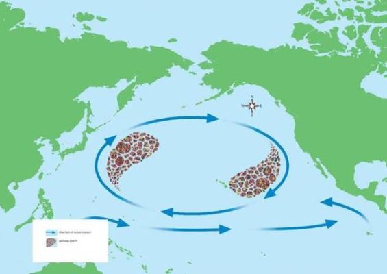 美国托管的太平洋的岛屿鸟粪国？（太平洋外汇托管网址）