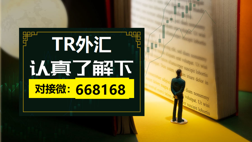 4xhub这个外汇公司靠谱吗？（国内做外汇有什么平台）