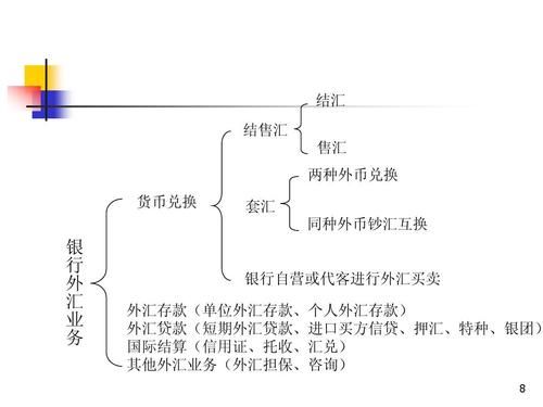 外币项目如何会计核算？（)外汇业务核算原则）