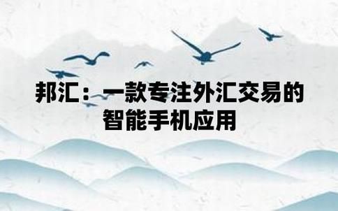 外汇中的A仓和B仓是什么意思？（外汇b级企业怎么做）