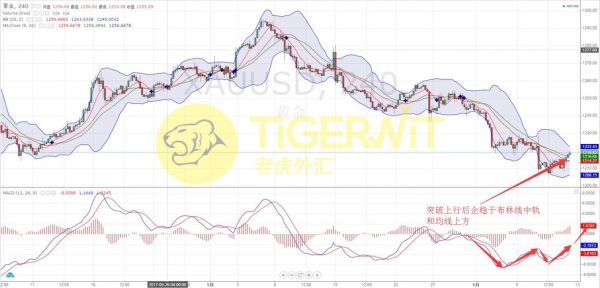 tigerwit老虎外汇用起来怎么样？（老虎外汇论坛）