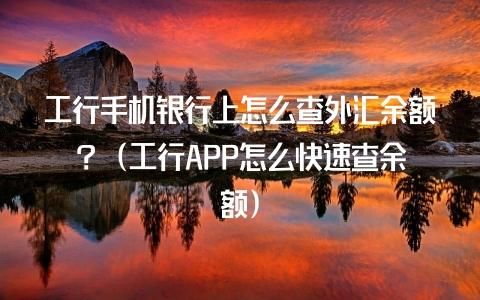 工行手机银行上怎么查外汇余额？（工商银行收外汇额度）