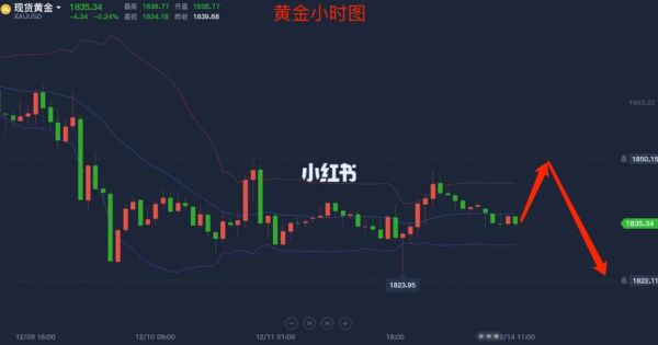 黄金投资怎么看成交量？在哪里看？（黄金外汇直播分析）