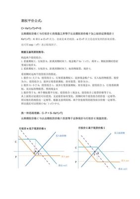 美式期权的平价公式？（外汇看跌期权报价）