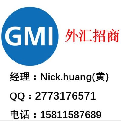 gmi外汇是什么类型平台？（gmi外汇官网）