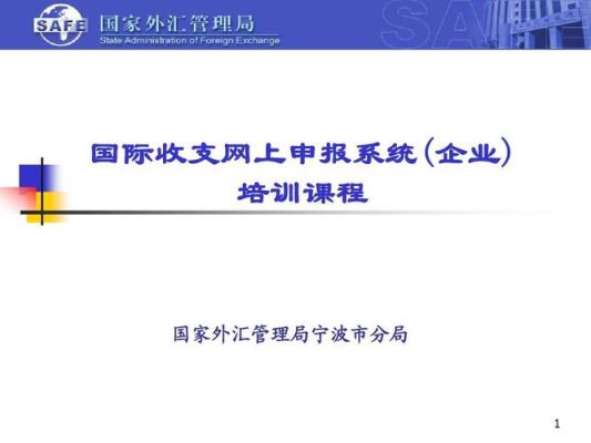 收到一笔外汇为什么在国际收支申报网上会没有，是时间问题？（外汇新问题）