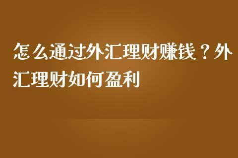 投资外汇可以赚到钱吗？（外汇投资能赚钱吗）