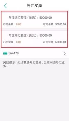 外汇额度是怎么计算的？（外汇额度什么意思）