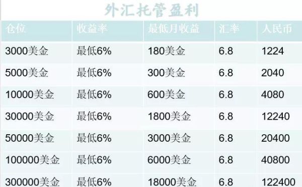 外汇的出入金是对公还是个人？（外汇五万）