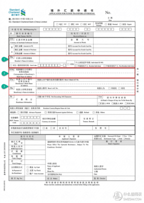 国内向国外汇款怎样办理？（国内外汇汇款申报）