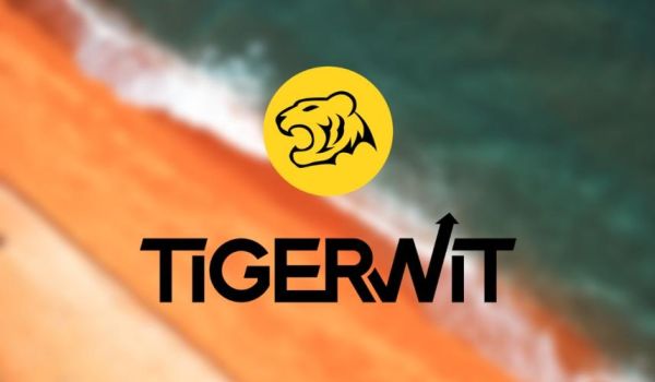 tigerwit是否正规？（老虎外汇多久了）