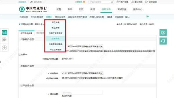 农行app如何开通境外交易功能？（农行如何外汇境外转账）