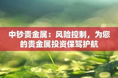 投资贵金属资金风险安全还是投资外汇资金风险安全？（金属外汇）