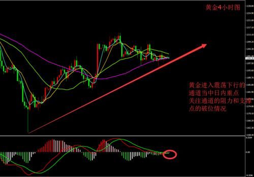 外汇，黄金一天能波动多少点？（外汇黄金今天会怎么走）