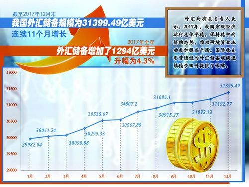 我国的外汇储备这么多，为什么不能在国内使用呢？（外汇交易市场 中国）