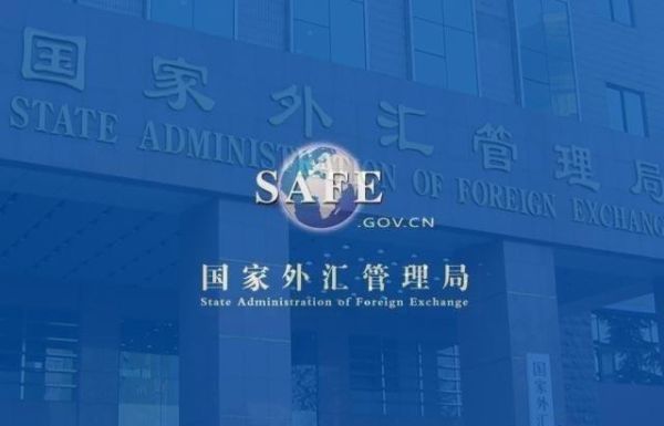 违反外汇管理法规应承担什么责任？（外汇管理工作 建议）