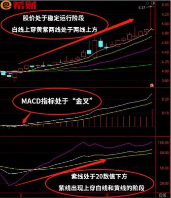 外汇短线macd指标参数设置多少最好？（外汇短期macd）