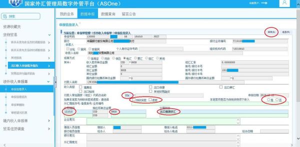 货币申报怎么填？（外管局外汇申报）