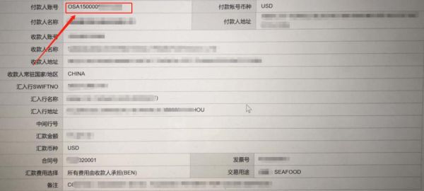 做外汇银行卡被锁定如何解锁？（外汇终极密码）