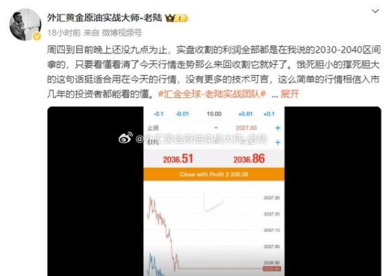 外汇里一万美金的户买一手黄金可以扛几个点？（外汇实时行情小黄金）