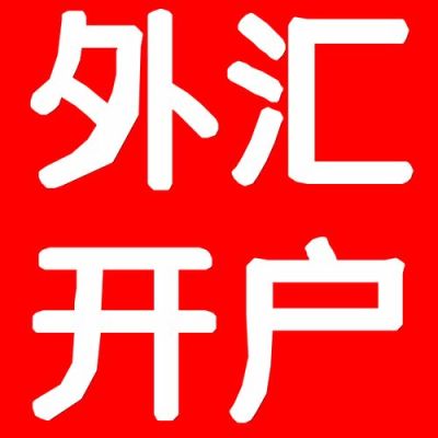 什么是外汇公司？（外汇黄金公司）