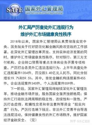 国家外汇管理局开始严查外汇违规行为了吗？（中国外汇市场改革问题）