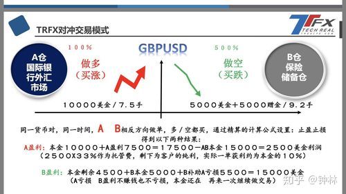 外汇中什么是对赌平台？（外汇平台间对冲）