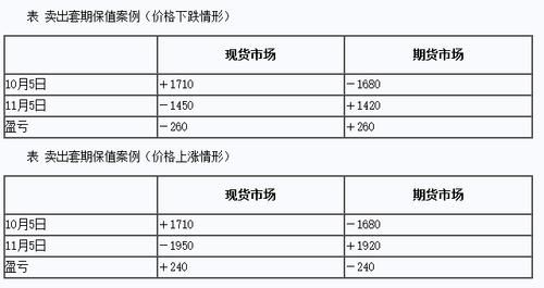 本外币对冲是什么意思？（卖出外汇套期保值）