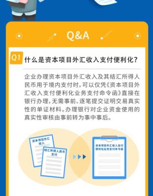 资本项目指的是什么？（资本类项目外汇是指）