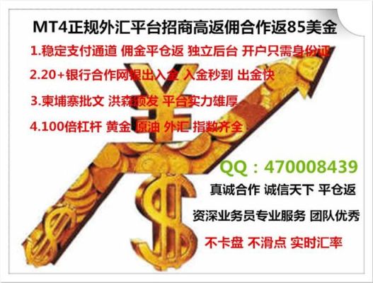 做外汇代理商能挣钱吗？（外汇代理怎样赚钱吗）